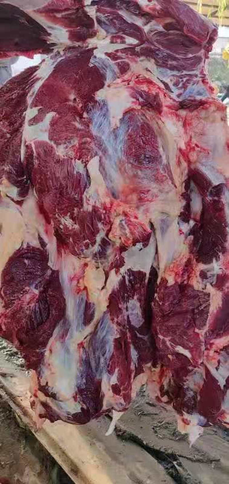 今日份鲜驴肉，现杀现宰，无注水