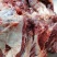 今日份鲜驴肉，现杀现宰，无注水
