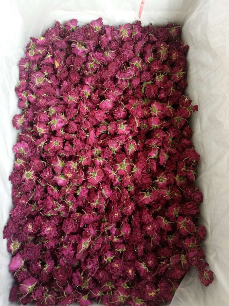 低温烘焙无硫平阴玫瑰花冠通货