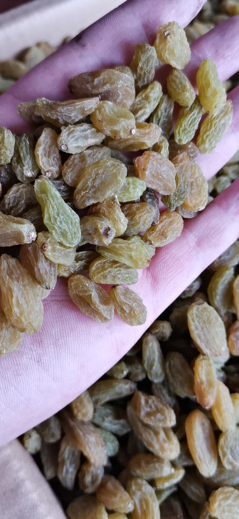 产地直销新疆葡萄干吐鲁番葡萄干树上黄葡萄干质量保证包退