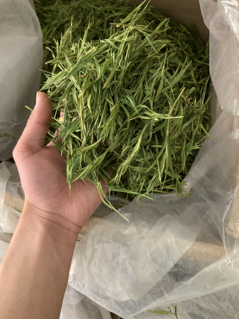 【淡竹叶】淡竹叶产地直供量大从优物美价廉