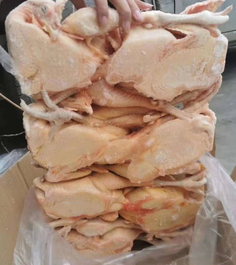 白条鸡白条鸭所有冷冻