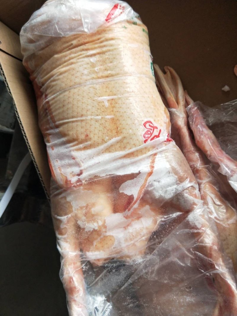 主营白条鸡白条鸭