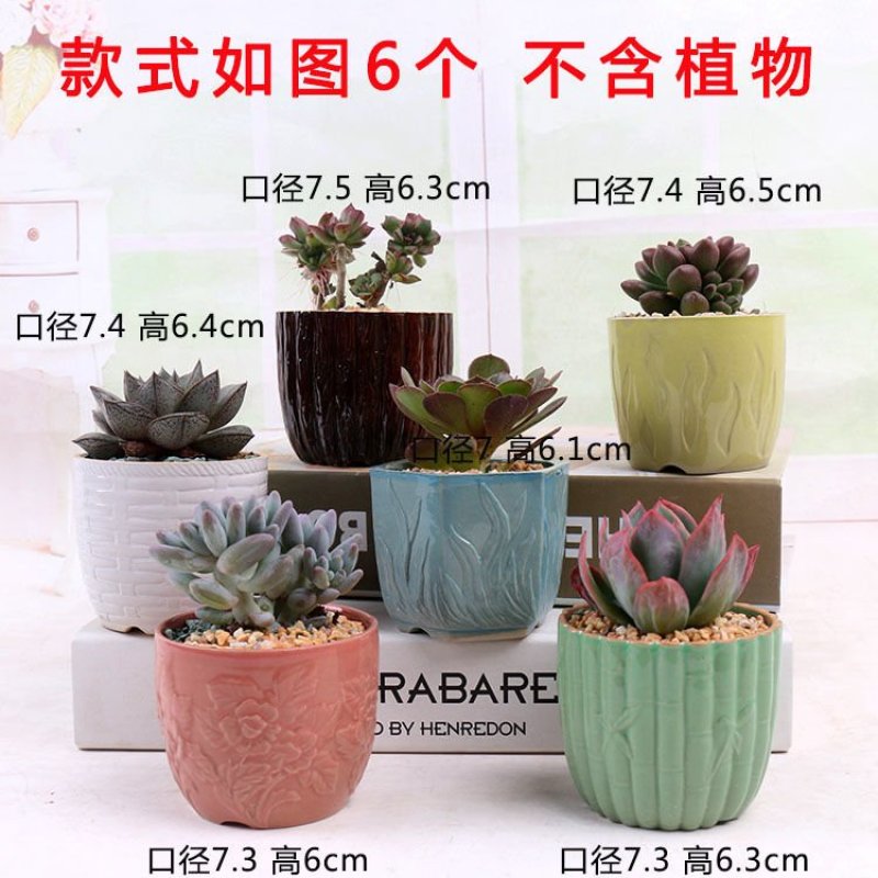 多肉花盆陶瓷批发大号粗陶陶瓷盆器简约素烧紫砂创意小花盆栽