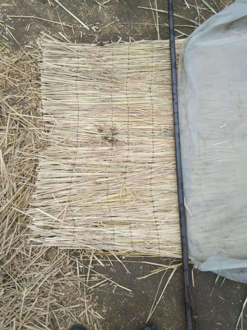 厂家直供菌类大棚草帘子
