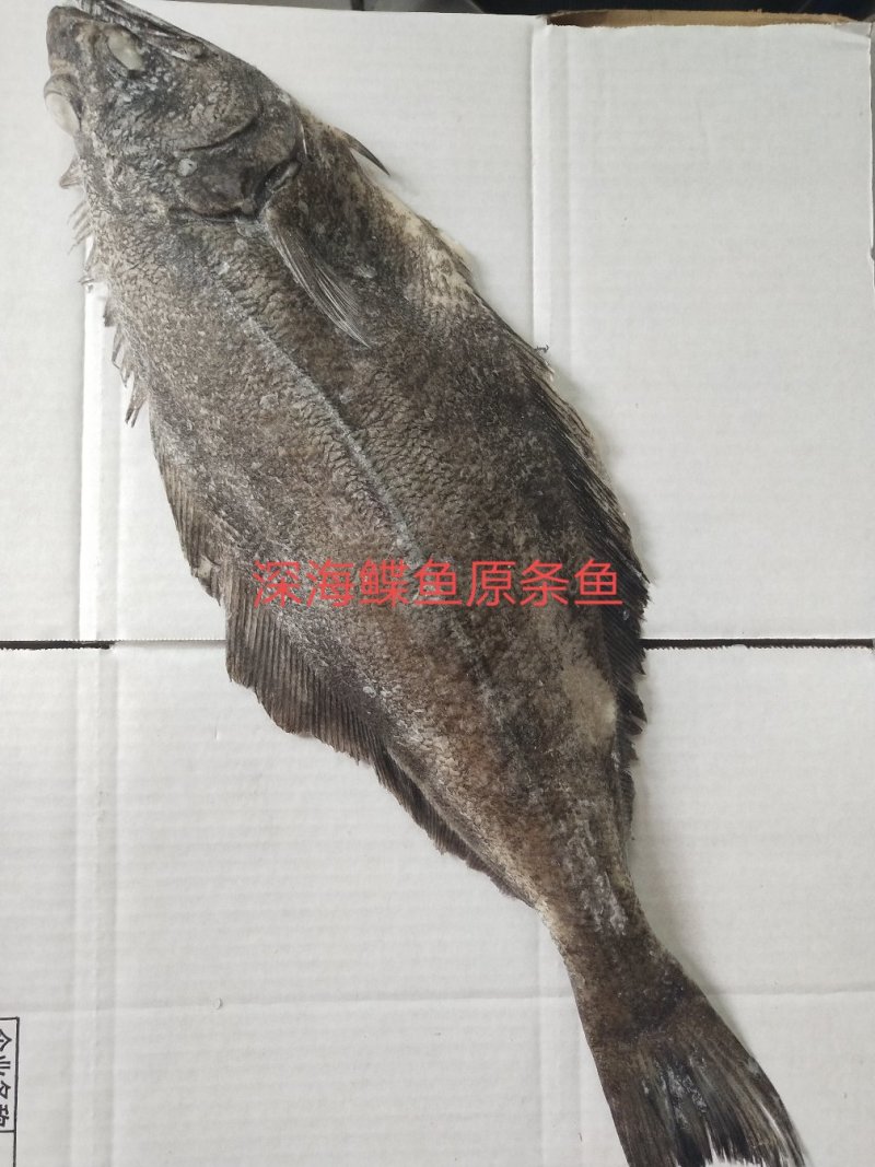 深海鲽鱼切断，片