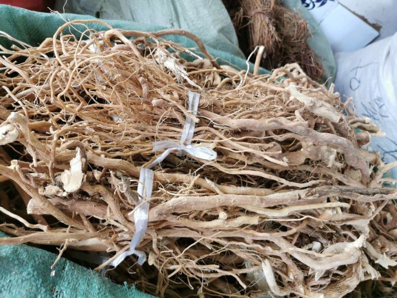 黄花倒水莲