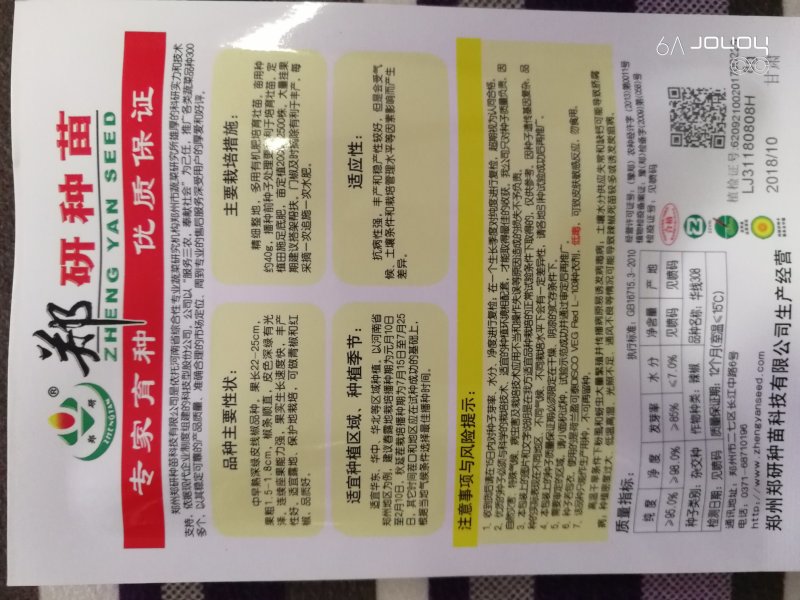 【精】郑研中线208辣椒种子，果长30厘米