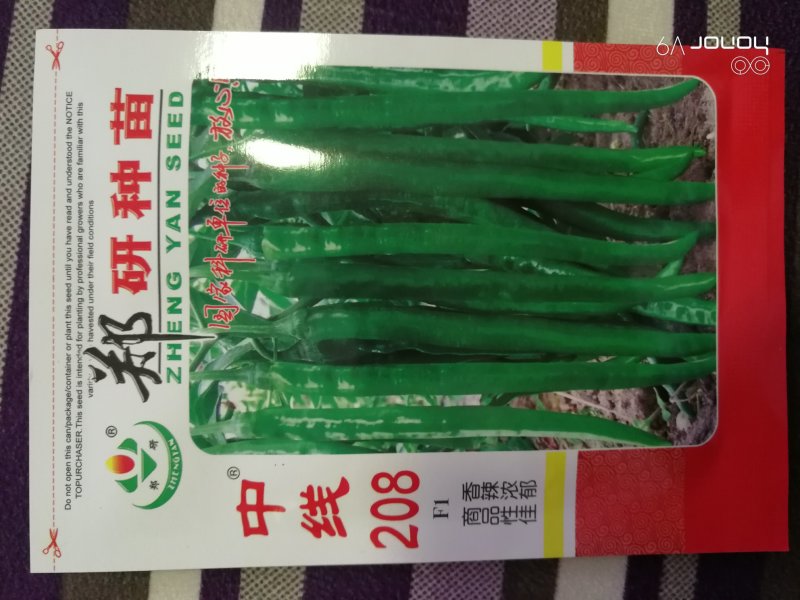 【精】苏润一椒郑研火凤凰华线308辣椒种子，中线208