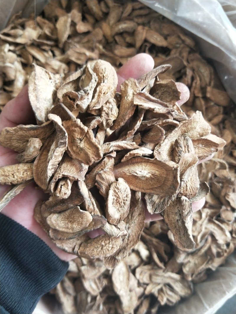牛蒡根牛蒡茶牛蒡根无硫品质保证量大从优批发零售