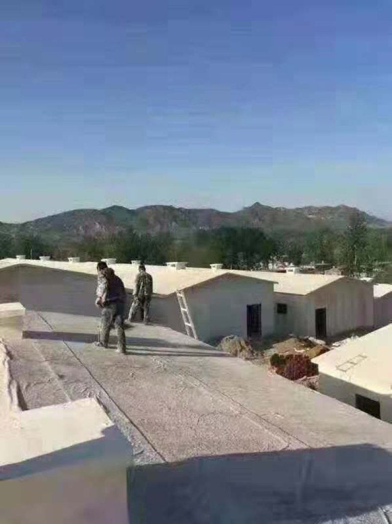 鑫旺大型养殖搭建鸡舍鸭舍猪舍