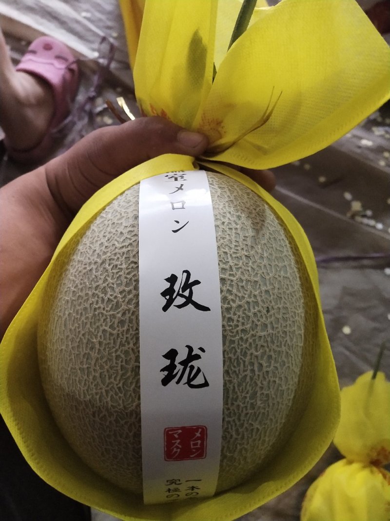 网纹瓜鲁厚甜蜜瓜莘县香瓜甜瓜产地直供对接商超市场平台