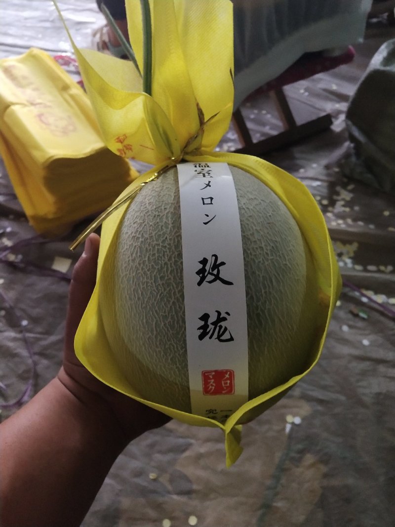 网纹瓜鲁厚甜蜜瓜莘县香瓜甜瓜产地直供对接商超市场平台