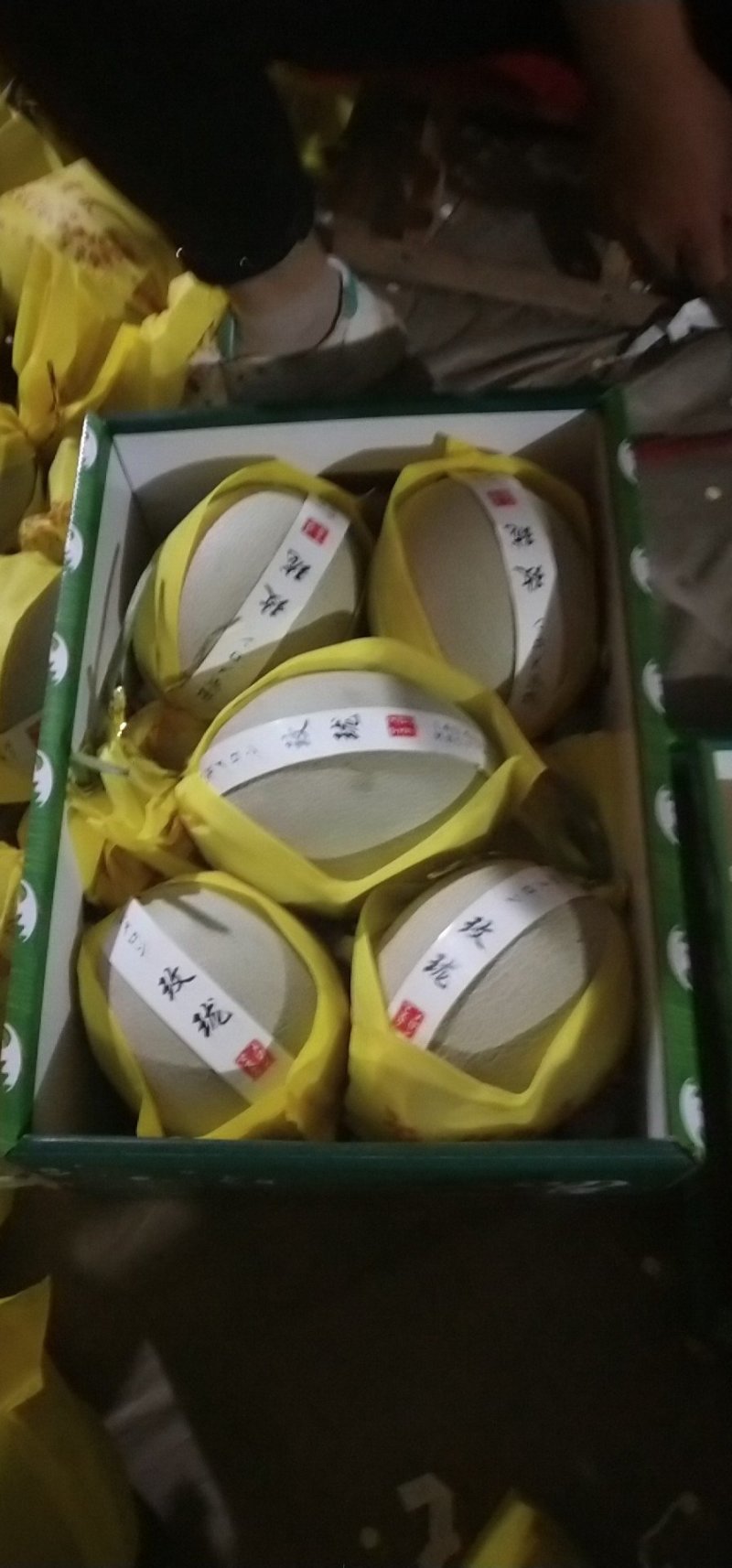 网纹瓜鲁厚甜蜜瓜莘县香瓜甜瓜产地直供对接商超市场平台