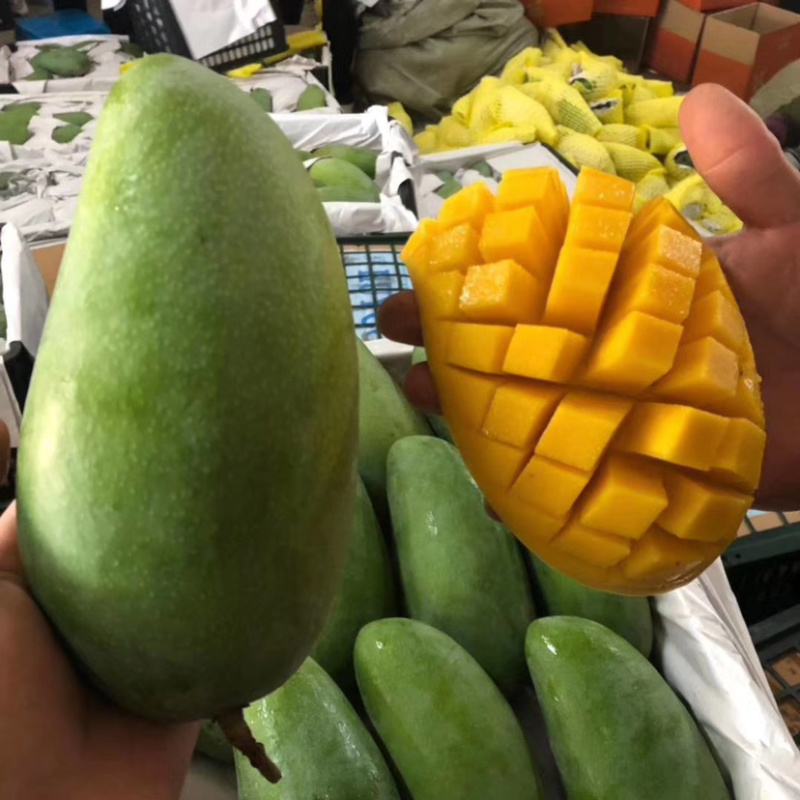 芒果大青芒果10斤当季新鲜热带水果大量批发