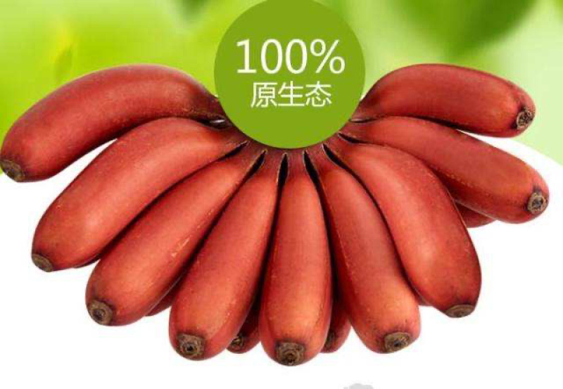 福建红美人红皮香蕉原产地直发支持一件代发