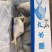 银鲳鱼单冻,块冻,原料解冻板全规格质量好价格低可视频看货