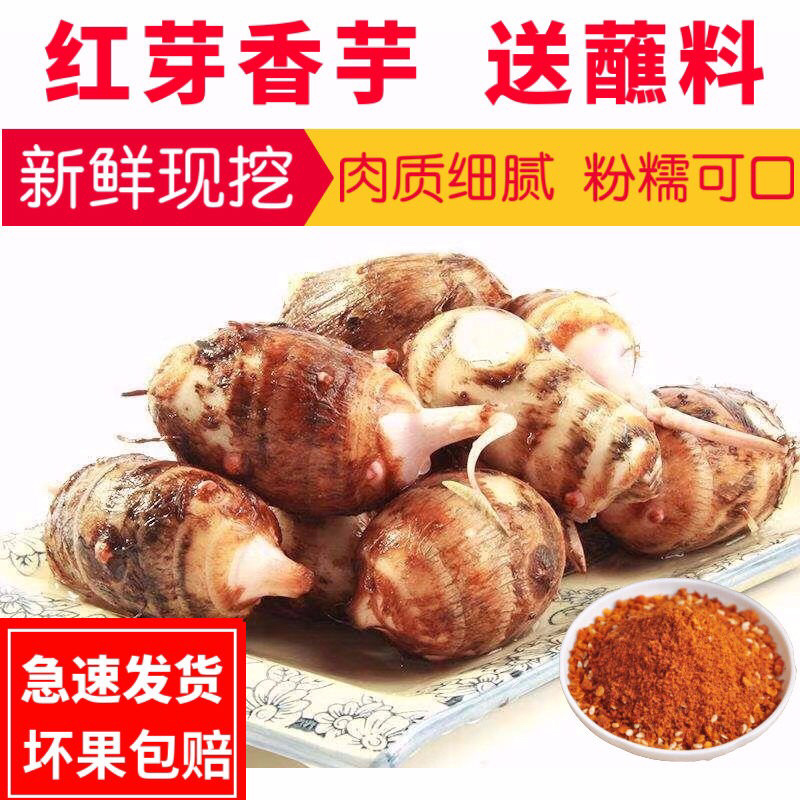 【亏本冲量】农家小芋头毛芋头5斤装营养丰富软糯丝滑