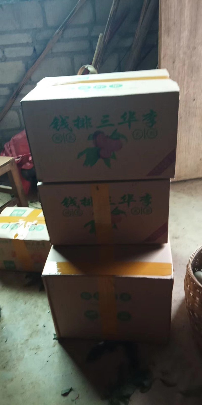 2025信宜三华李美团多多电商市场批发一件代发
