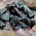 大量供应信宜油榄角干多种级别乌榄角农家自产咸香榄角干