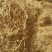 牛尾菜/水洗野生牛尾菜/牛尾蕨干货/牛尾菜干货/