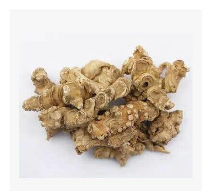 竹节参，常年批发野生，，竹节参中药材