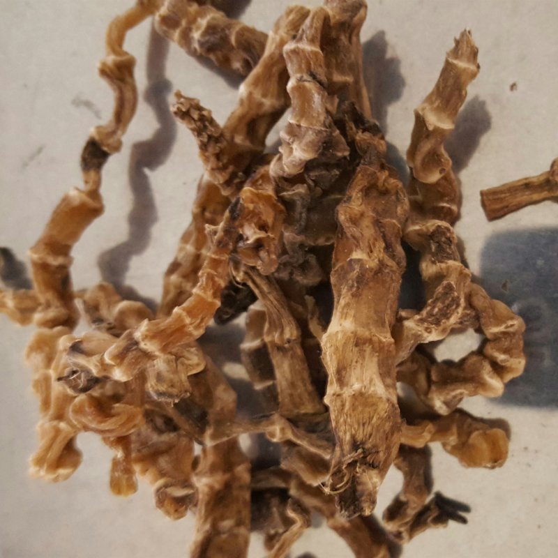 竹节参，常年批发野生，，竹节参中药材