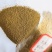 豆渣厂销售饲料添加剂喷浆豆渣牛羊料水产料喷浆豆渣黄色