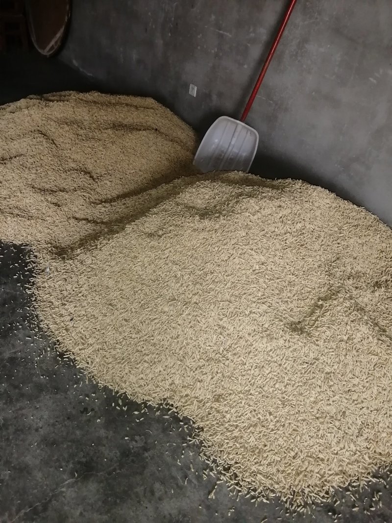麦冬产地直销支持线上保障交易，看的起的老板联系