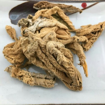 ，岩白参，常年批发供应冷背中药材岩白参