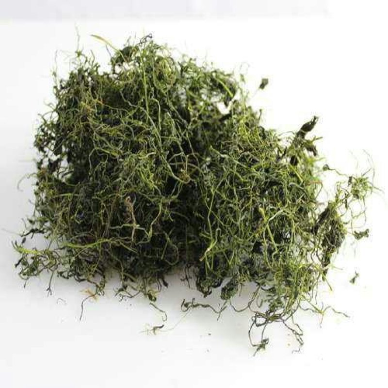 绞股蓝，常年批发供应，药食同源绞股蓝