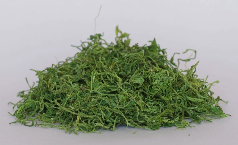 绞股蓝，常年批发供应，药食同源绞股蓝