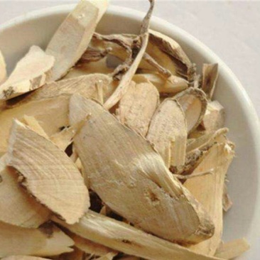 黄花倒水莲，常年批发供应冷背中药材
