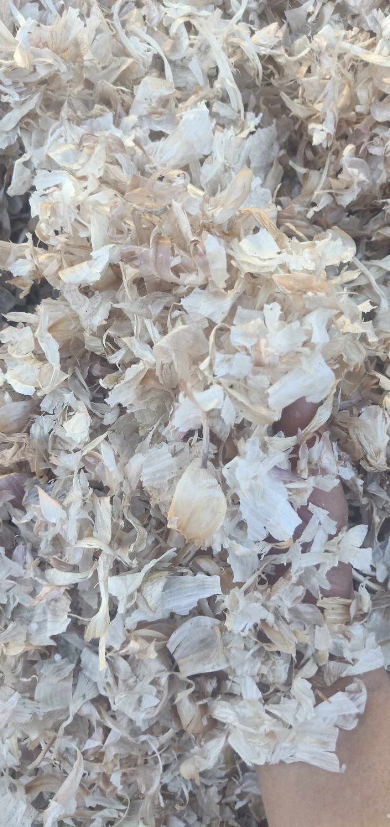 优质大蒜皮白色大蒜皮蒜皮压块适合牛羊养殖饲料内外蒜