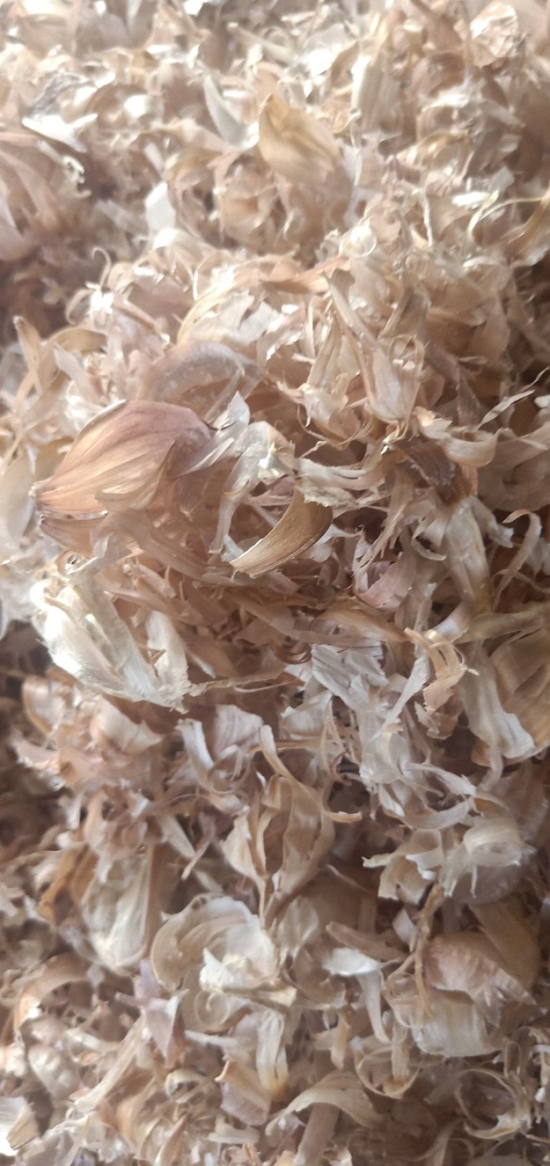 优质大蒜皮白色大蒜皮蒜皮压块适合牛羊养殖饲料内外蒜