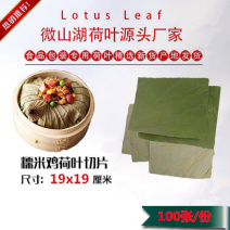 山东微山湖荷叶荷叶裁片各种规格加工定做