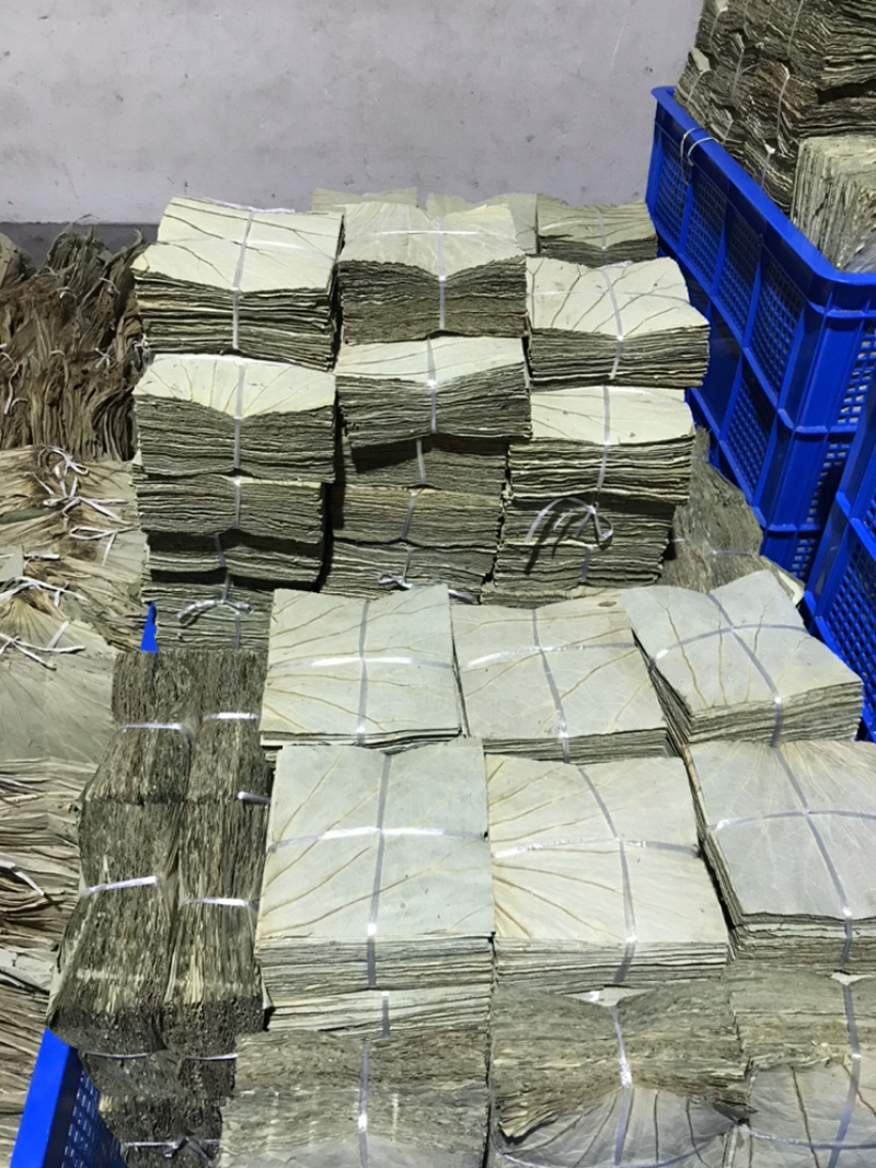 山东微山湖荷叶荷叶裁片各种规格加工定做