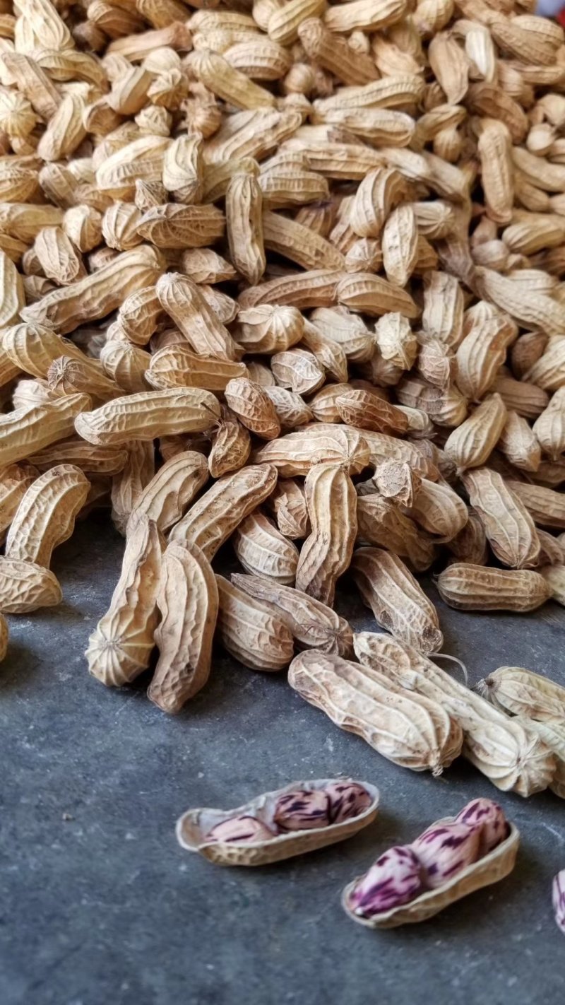 花生七彩花生越南七彩花生一手货源按对应的数量下单