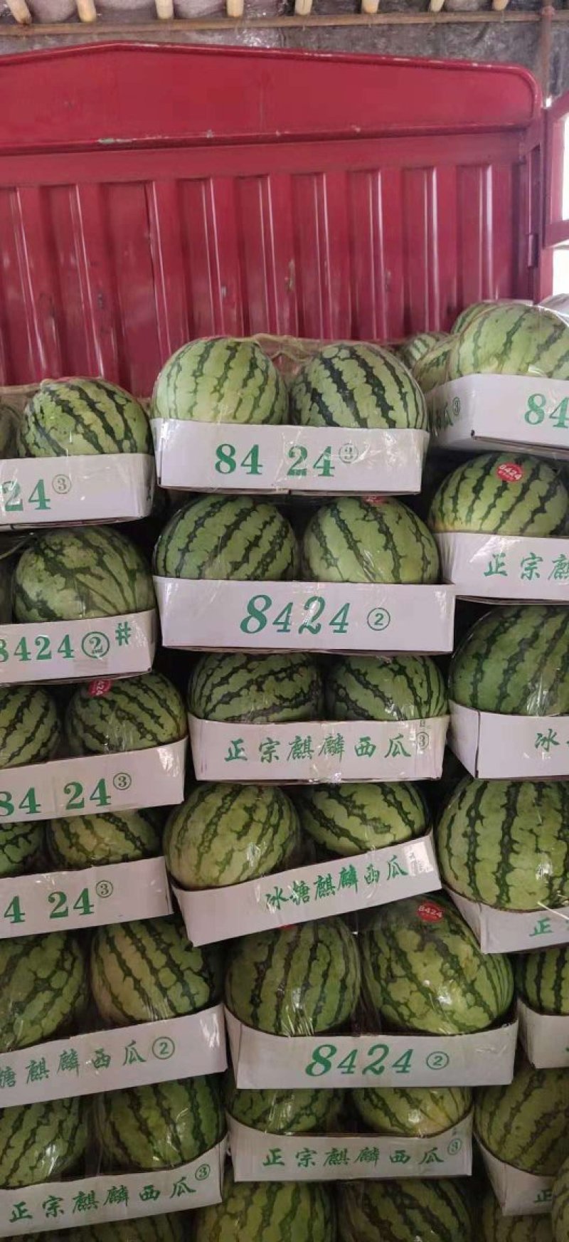 精品8424西瓜6斤打底8成熟头茬，包熟包甜，一条龙服务