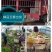 【精品】紫花玉簪，基地苗圃直供，货源充足