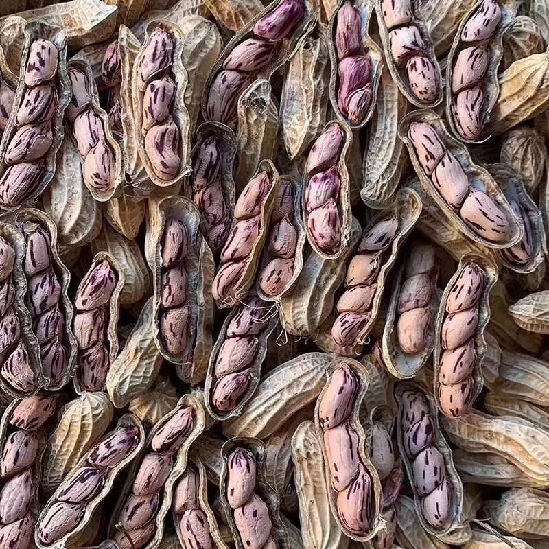 花生七彩花生越南七彩花生一手货源按对应的数量下单