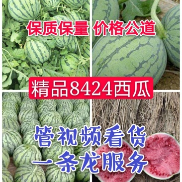 精品8424西瓜6斤打底8成熟头茬，包熟包甜，一条龙服务