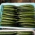 夏邑中农1101黄瓜25公分以上干花带刺诚信代办