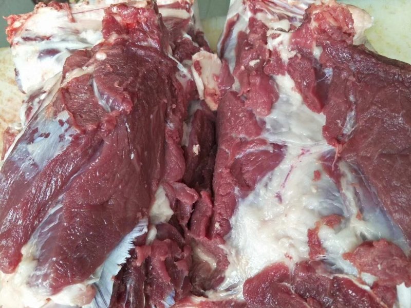 原种大白母猪，产量高好品种瘦肉母猪，适合全国喂养。