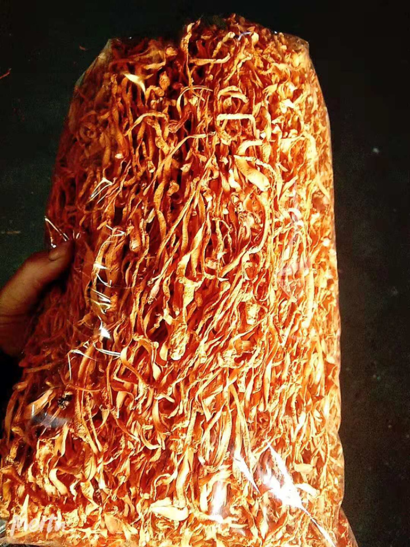 虫草花干货通货散草大箱装干净无杂质产地直销