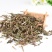 薄荷薄荷叶产地直销量大从优