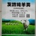 羊粪生物有机肥放心使用的好纯羊粪肥料发酵纯羊粪