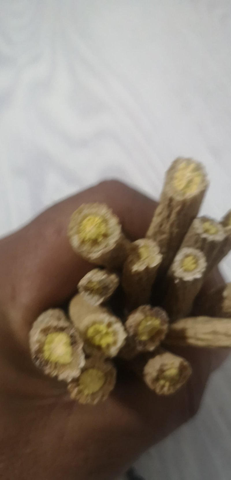 50吨板蓝根出售