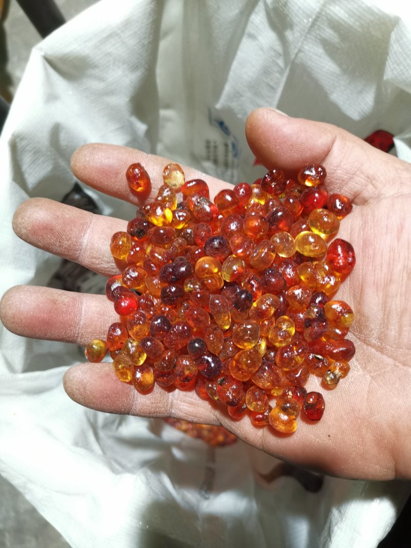 桃胶（机磨水洗精品靓黄红色各种规格）