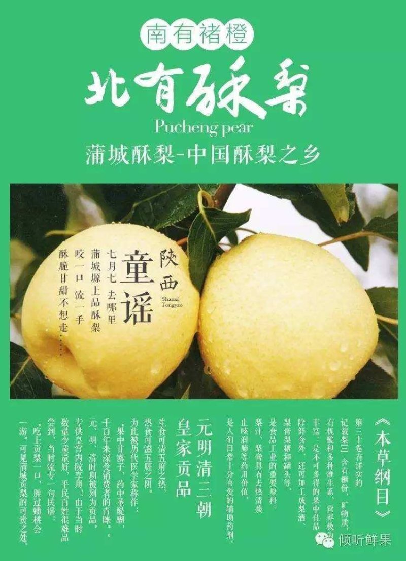 【大荔县砀山梨】露天套袋梨货源充足量大从优可视频